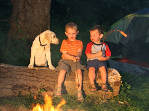 camping with richmond dog