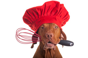 dog chef with egg beater