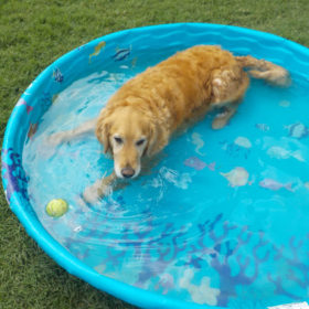 shadow-in-pool--3